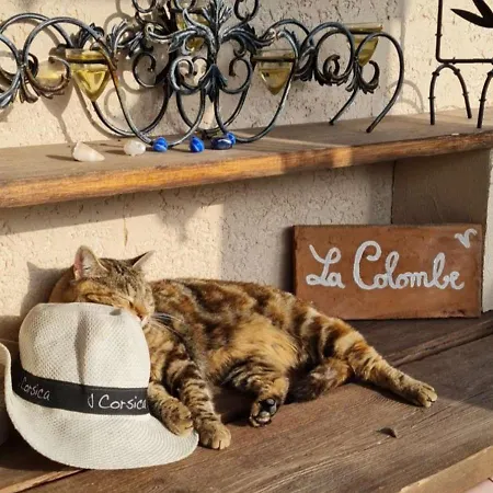 La Colombe Bed & Breakfast Tourrettes