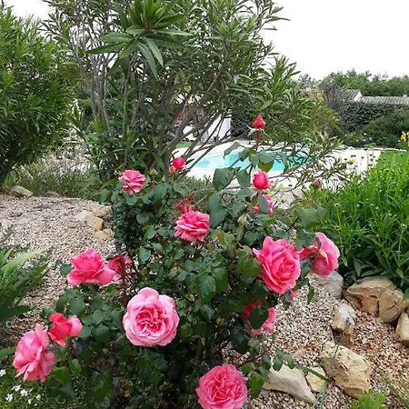 La Colombe Bed & Breakfast *